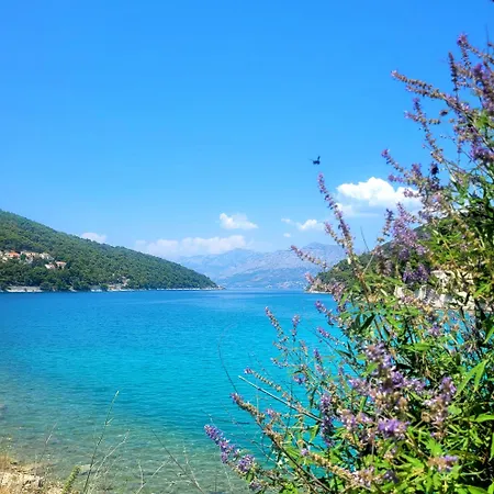 Apartamento Bakarosa Pucisca